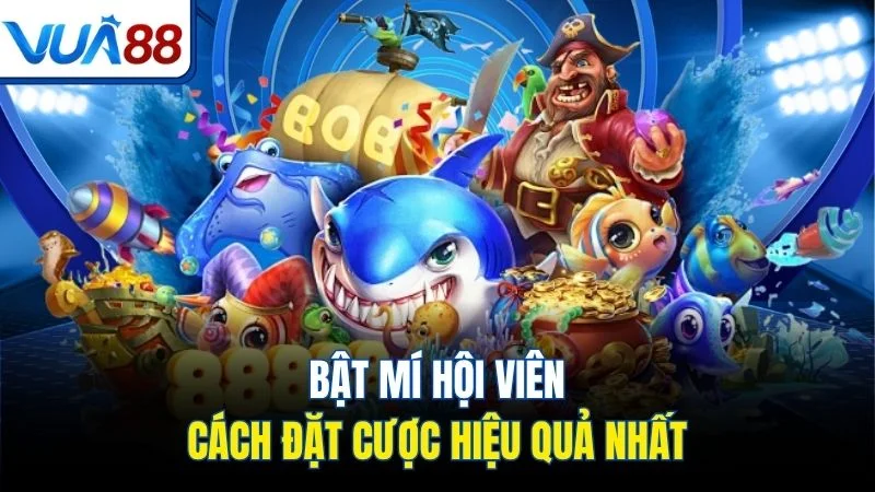 bat mi hoi vien cach dat cuoc hieu qua nhat Bật mí hội viên cách đặt cược hiệu quả nhất