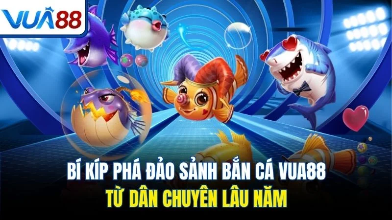 Bí kíp phá đảo sảnh bắn cá Vua88 từ dân chuyên lâu năm