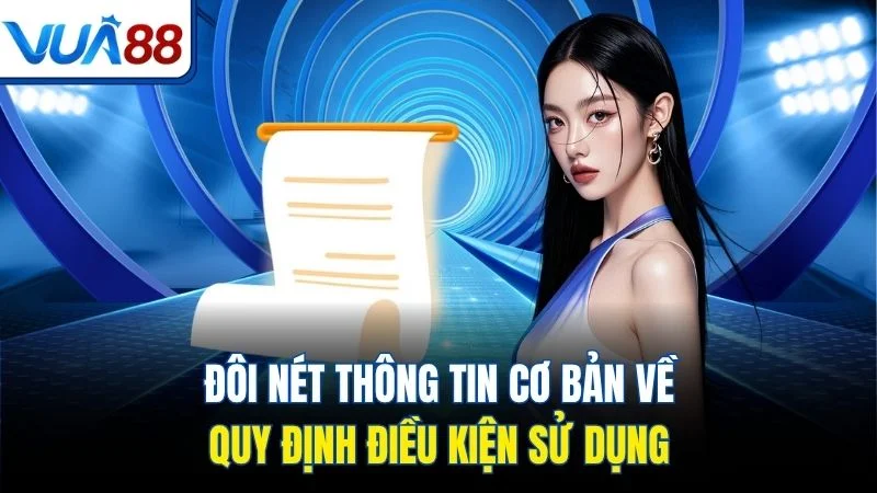 doi net thong tin co ban ve quy dinh dieu kien su dung Đôi nét thông tin cơ bản về quy định điều kiện sử dụng