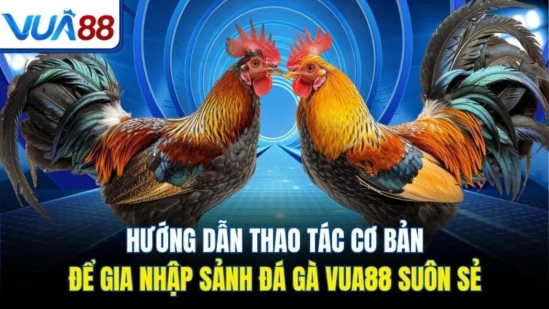 huong dan thao tac co ban de gia nhap sanh da ga vua88 suon se Hướng dẫn thao tác cơ bản để gia nhập sảnh đá gà Vua88 suôn sẻ