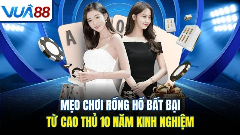 meo choi rong ho bat bai tu cao thu 10 nam kinh nghiem Mẹo chơi rồng hổ thông minh từ chiến lược gấp thếp