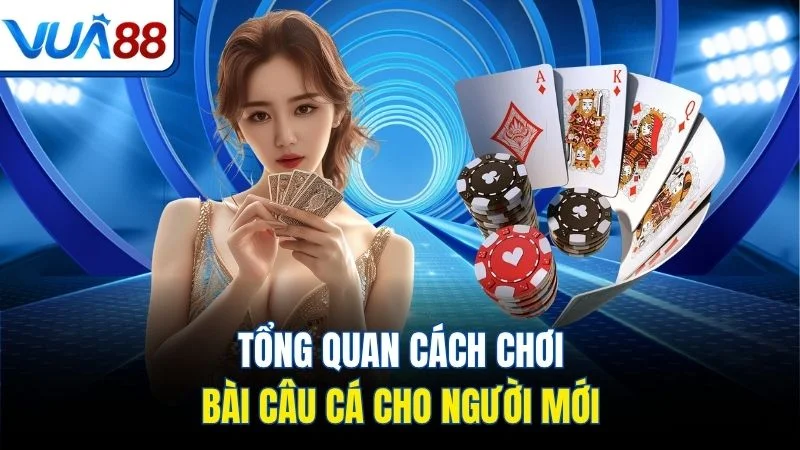 tong quan cach choi bai cau ca cho nguoi moi Tổng quan cách chơi bài câu cá cho người mới