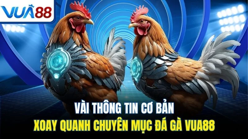 vai thong tin co ban xoay quanh chuyen muc da ga vua88 Vài thông tin cơ bản xoay quanh chuyên mục đá gà Vua88